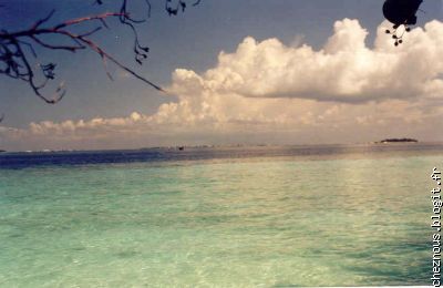 Malé