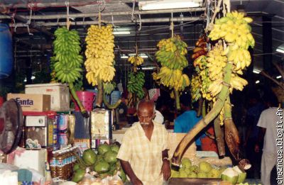 à l'interieur du marché