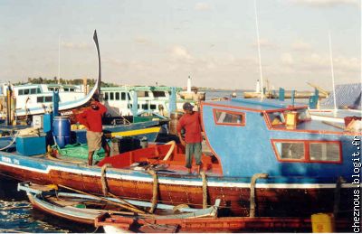 le port
