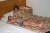 ... notre chambre...